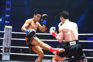 肯姆资料,揭秘历史与文化的瑰宝