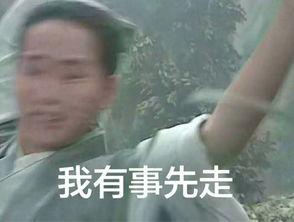 白素贞表情包,千年蛇妖的趣味演绎